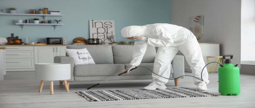Termite Fumigation- A Checklist to Prepare Your Home