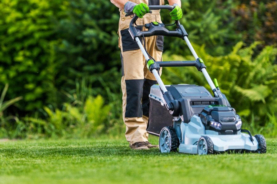 Differences-between-Gardening-and-Landscaping-Featured