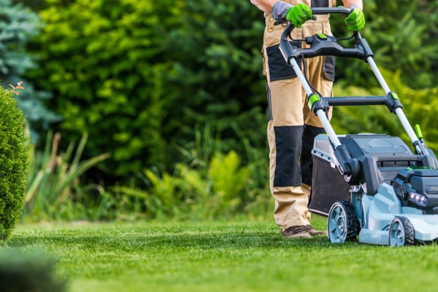 gardening and maintenance tips and tricks - swiftcare